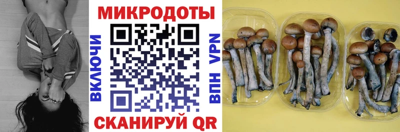 наркошоп Гвардейск Галлюциногенные грибы мицелий